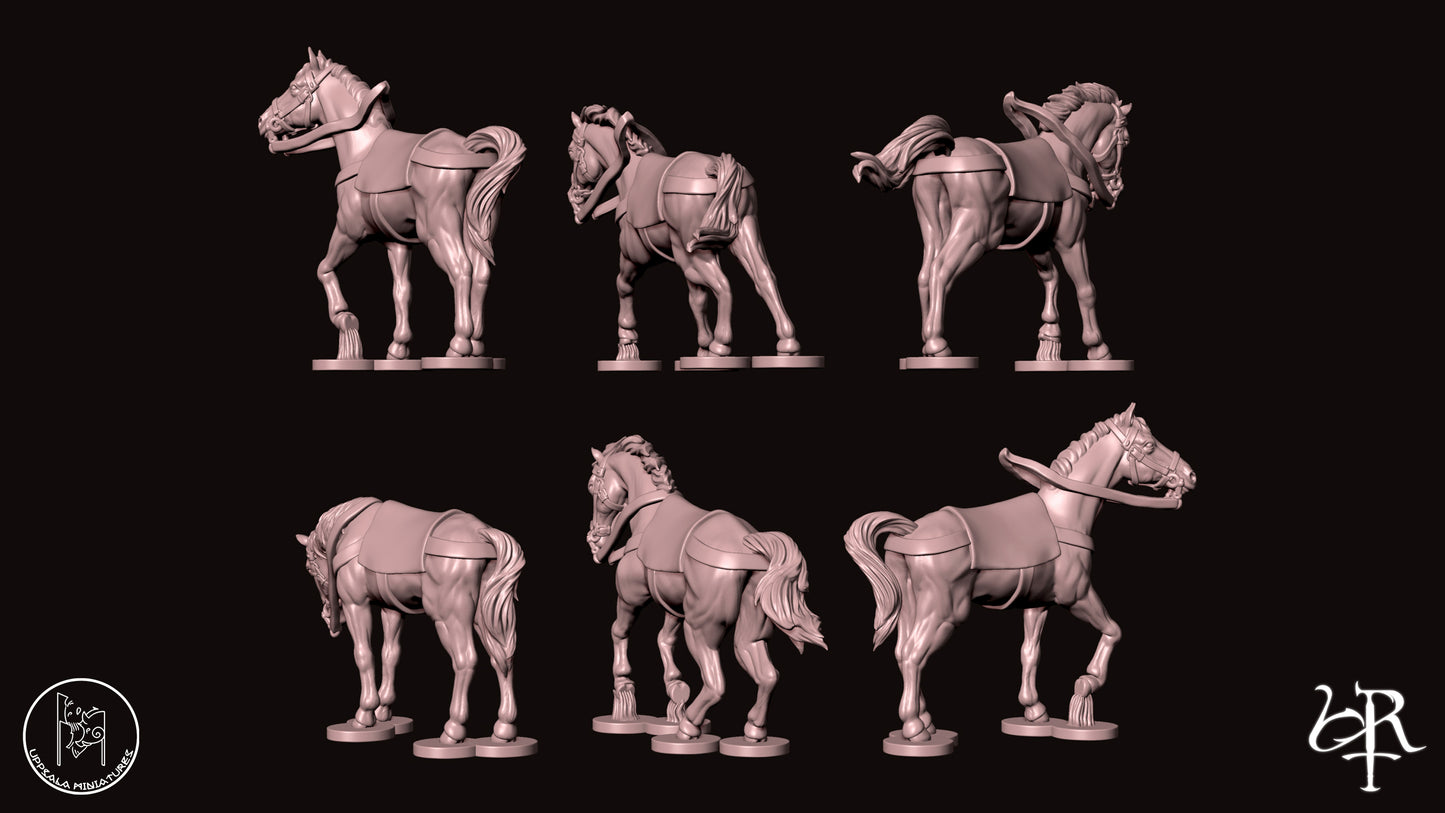 LIGHT CAVALRY COMPAGNIE DI VENTURA 15th CENTURY 28mm_1/72