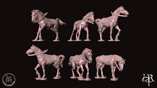 LIGHT CAVALRY   COMPAGNIE DI VENTURA 15th CENTURY   28mm_1/72